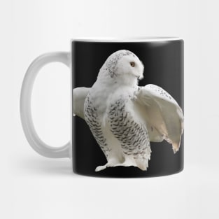 Snow owl / Swiss Artwork Photography Mug